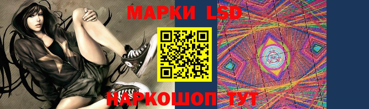 LSD-25 экстази кислота  ОМГ ОМГ ТОР  Новоалександровск  Вход с VPN 