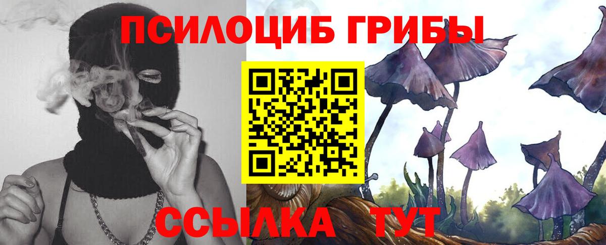 Галлюциногенные грибы прущие грибы  Галлюциногенные грибы Psilocybe  Вход с VPN  Новоалександровск 